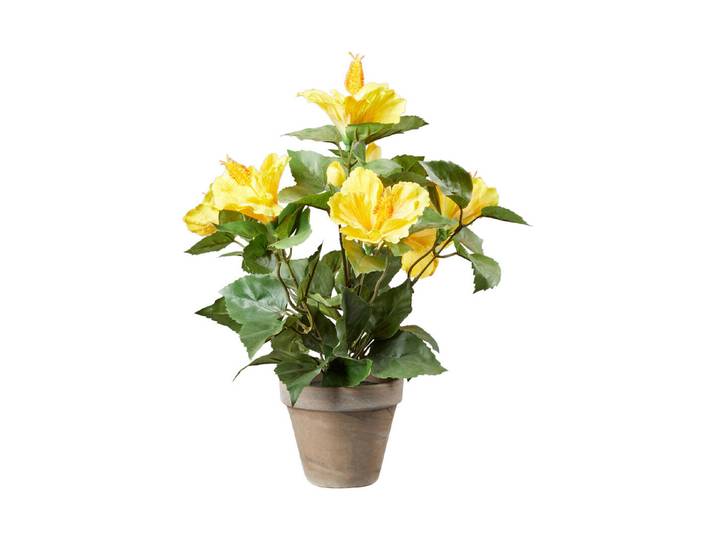 Mica Kunstpflanze Hibiskus im Topf Grau 30 × 40 cm