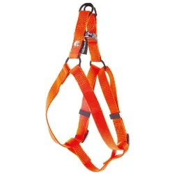 Martin Sellier Baud XL (XL, Hund, Spazieren), Halsband + Leine