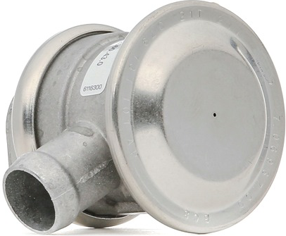 PIERBURG 7.22560.45.0 Secondary air pump check valve