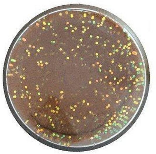 Berkley Powerbait Natural Glitter Trout Dough-Fish Pellet-Fish Pellet Glitter