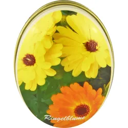 Pillendose Oval Hildegard von Bingen Motive Sortie 1 ST