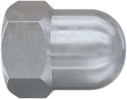 Fischer FAZ II Plus M10 569126 Hutmutter M10 Stahl galvanisch beschichtet 20St.
