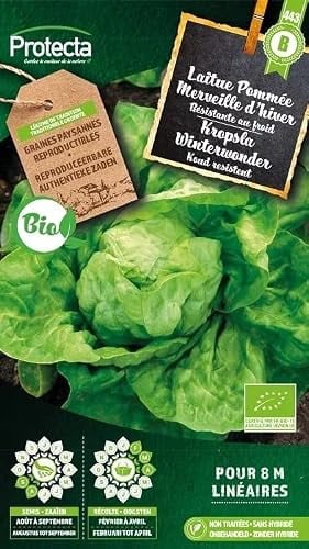 Protecta Biologische Kropsla Winterwonder Groentezaden
