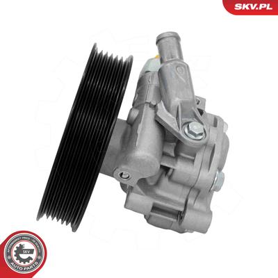 ESEN SKV Hydraulikpumpe, Lenkung 10SKV368 für CADILLAC