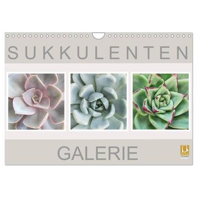 Sukkulenten Galerie (Wandkalender 2026 DIN A4 quer), CALVENDO Monatskalender