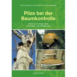 Pilze bei der Baumkontrolle - Erkennen wichtiger Arten an Straßen- und Parkbäumen
