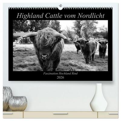 Highland Cattle vom Nordlicht - Faszination Hochland Rind (hochwertiger Premium Wandkalender 2026 DIN A2 quer), Kunstdruck in Hochglanz