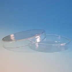 Petridoppelschale Ø 6 x H 1,5 cm ohne Nocken