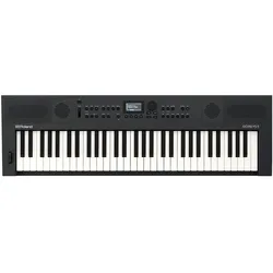 Roland GO:Keys 5 (61 Tasten), Keyboard, Schwarz, Grau