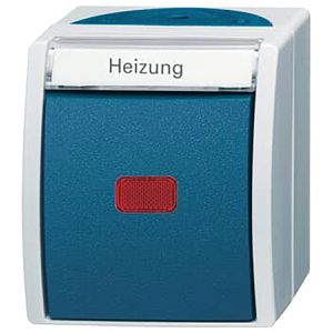 Busch-Jaeger Heizungsnotschalter 2601/2 SKWNH-53, Aufputz, Feuchtraum IP44, 2-polig, grau / blaugrün