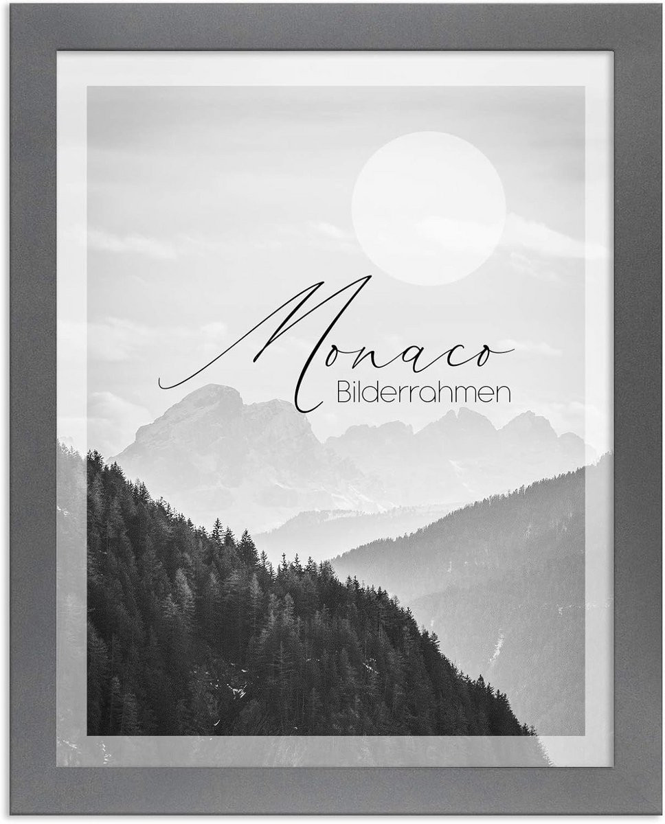 Fotolijst Manier Grijs Rechthoekig met Antireflecterend Glas, Breedte: 40 cm, Hoogte: 80 cm