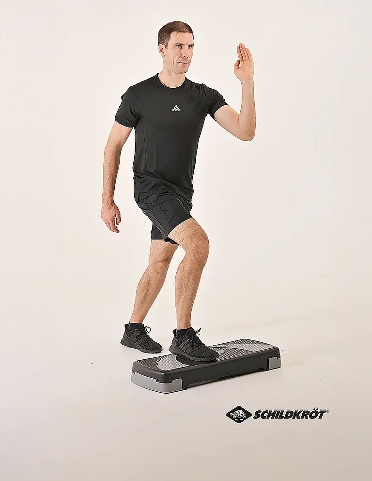 SCHILDKRÖT Fitness Stepper schwarz B
