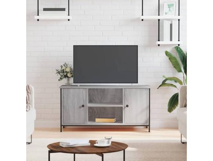 HEFZGDB TV-Schrank Grau Sonoma 100x40x50 cm Holzwerkstoff mit 2 Fächern und 2 Ablagen, Stauraum Lösung, Eisenbeine für Stabilität, Klassisches Design, Wohnzimmer Möbel