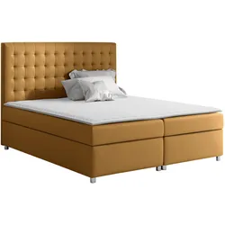 BOXBETT Asti - H3