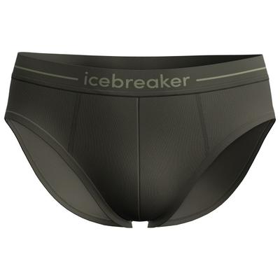 Icebreaker - Anatomica Briefs - Merinounterwäsche Gr S schwarz
