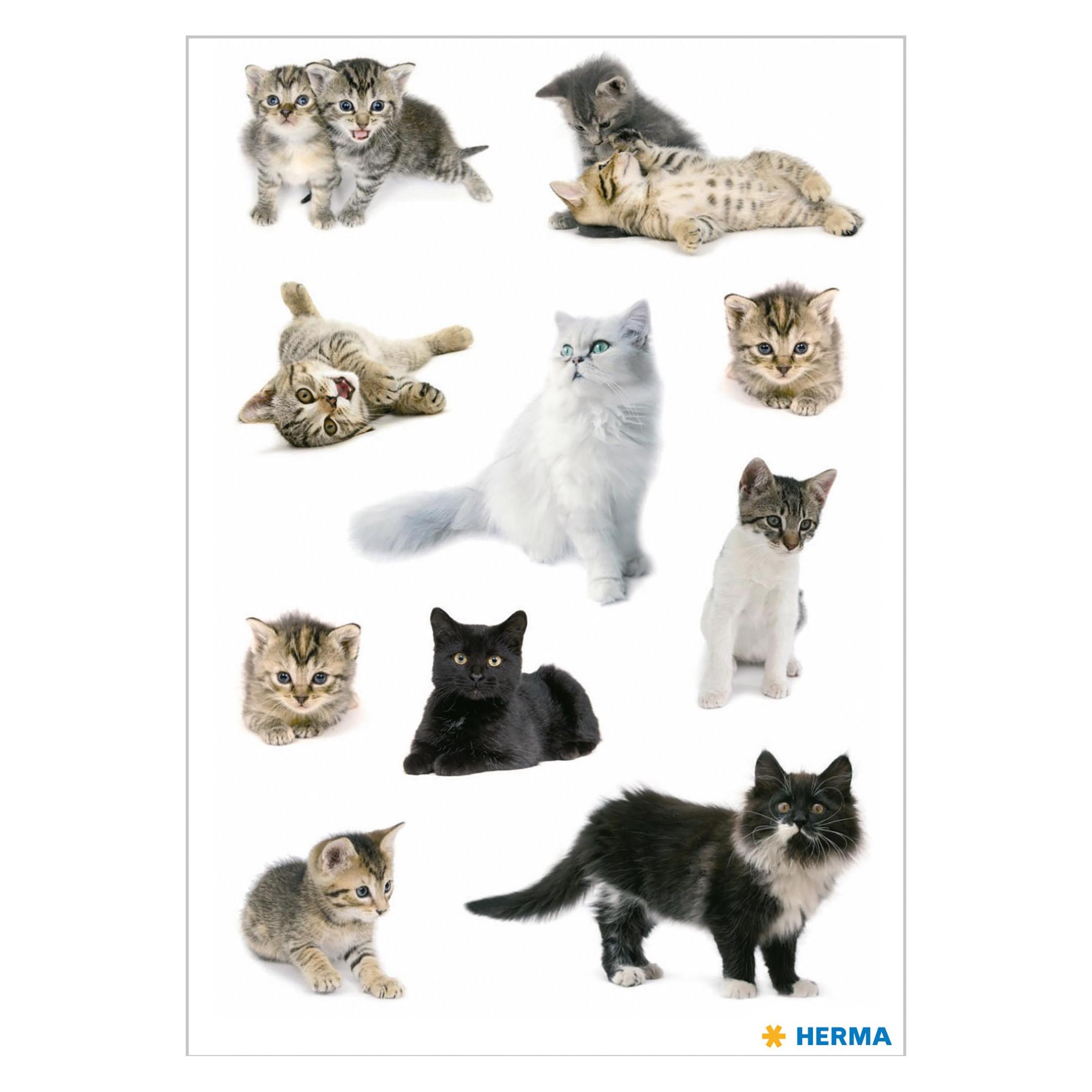 Herma Sticker Katzen (30 Sticker) (3433)