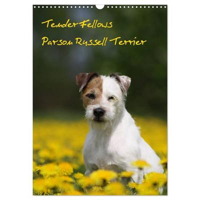 Tender Fellows - Parson Russell Terrier (Wandkalender 2026 DIN A3 hoch), CALVENDO Monatskalender