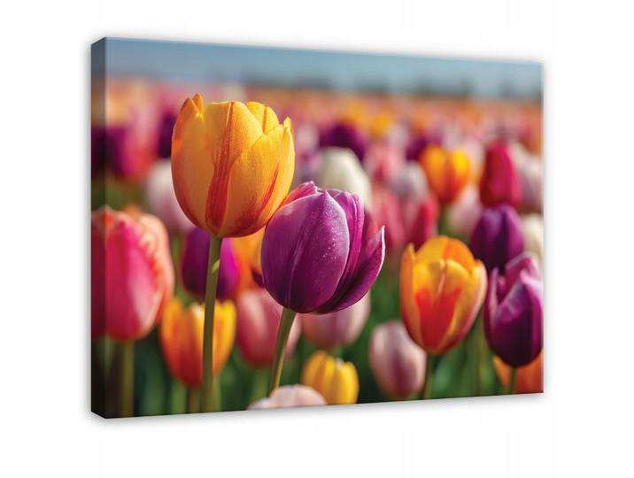 LEINWANDBILD Blumen Tulpen Bunt 120x80 cm