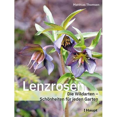 Lenzrosen, Gebundene Ausgabe von Matthias Thomsen, Haupt Verlag, 978-3-258-08275-2
