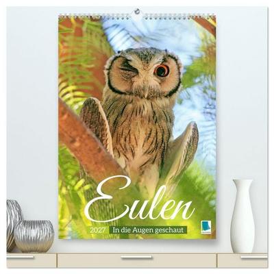 Eulen: In die Augen geschaut (hochwertiger Premium Wandkalender 2027 DIN A2 hoch), Kunstdruck in Hochglanz