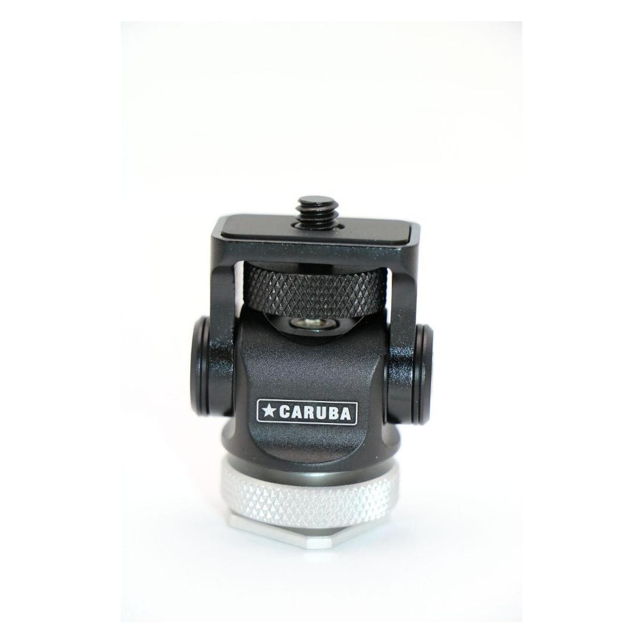 Caruba Magic Head (D145631)