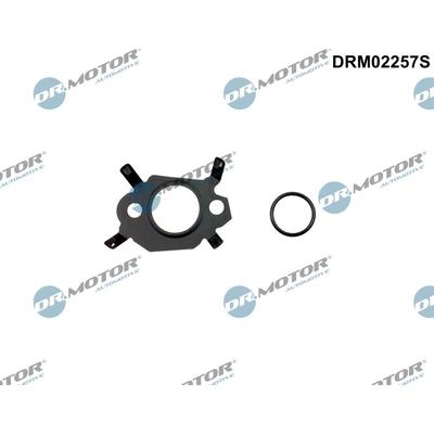 DR.MOTOR AUTOMOTIVE Dichtungssatz, AGR-System drm02257s für Ford Peugeot
