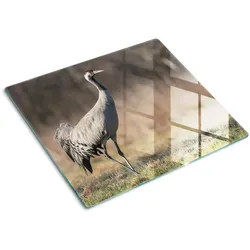 GLASPLATTE 60x52 cm Reiher