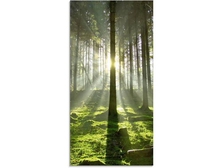 Glasbild ARTLAND Wald im Gegenlicht , grün (farbe bild(er): grün), B:30cm H:60cm, Bilder, Glasbild, in verschiedenen Grössen