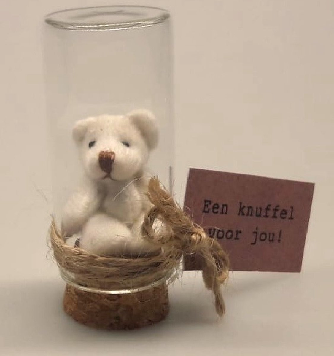 Schattig mini knuffel beertje in glazen stolp met kurken voet