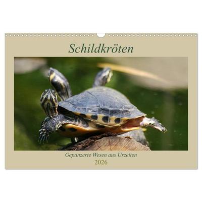 Schildkröten - Gepanzerte Wesen aus Urzeiten (Wandkalender 2026 DIN A3 quer), CALVENDO Monatskalender