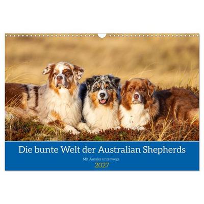 Mit Aussies unterwegs - Die bunte Welt der Australian Shepherds (Wandkalender 2027 DIN A3 quer), CALVENDO Monatskalender
