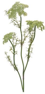 Melrose International Queen Anne's Lace Floral Spray (Set of 4)