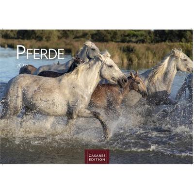 Pferde Kalender 2027 – Wandkalender | Fotokalender Tierkalender 35x50cm mit 12 wunderschönen Fotos dieser edlen Tiere