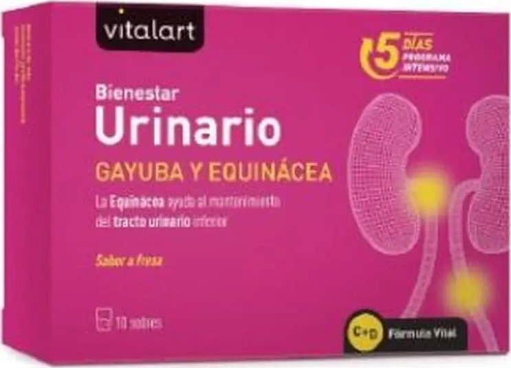 Vitalart Bienestar Urinario 10 Sobres