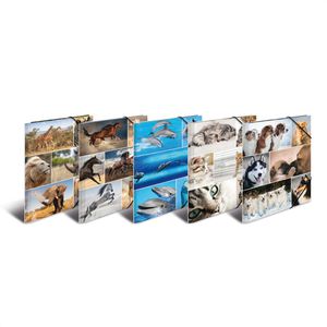 Herma Zeichenmappe 19346, Tiere, A4, Karton, 3 Einschlagklappen, Gummizug, 10 Stück