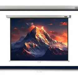 celexon Leinwand Rollo Professional 180 x 135 cm - 89`