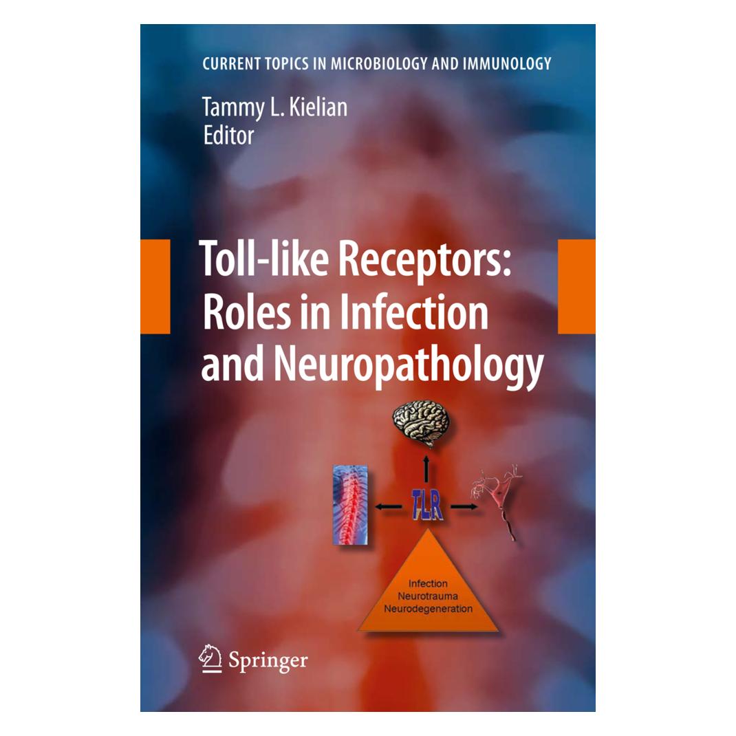Springer Toll-like Receptors: Roles in Infection and Neuropathology (Englisch, Softcover, Tammy Kielian) (55419901)
