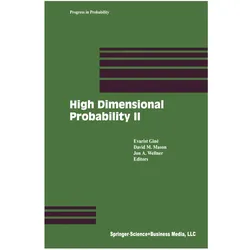 High Dimensional Probability II, Fachbücher von Jon A. Wellner, David M. Mason, Evarist Giné