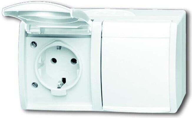 Busch-Jaeger Prise de courant alpin blanc, en saillie 20/2 EBW-54 (2CKA002084A0723)