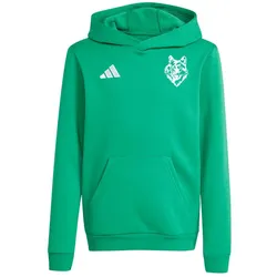adidas Hoody Entrada 26 WG grün XXL