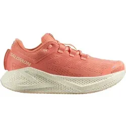 SALOMON Damen Laufschuhe SHOES AERO GLIDE 3 W Fuco/Vanila/Tender, Größe 42 in Braun Braun