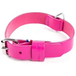 Martin Sellier 499 (Hund, Allgemein), Halsband + Leine