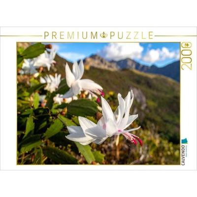 CALVENDO Puzzle Schlumbergera - Weihnachtskaktus in natürlicher Umgebung | 2000 Teile Lege-Größe 90x67cm Foto-Puzzle für glückliche Stunden