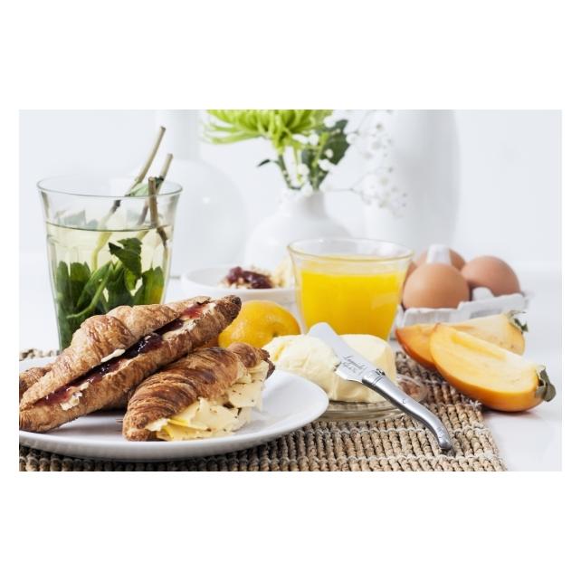 Laguiole Butter knives Stainless Steel SET 4 SdV (4 Stk., Besteck Set) (530117)
