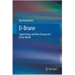 D-Brane, Fachbücher von Koji Hashimoto