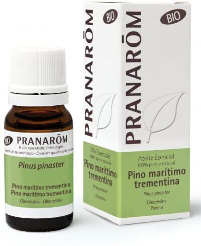 Pranarom Maritime Pine Essential Oil Bio 10 ml