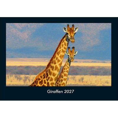Giraffen 2027 Fotokalender DIN A4