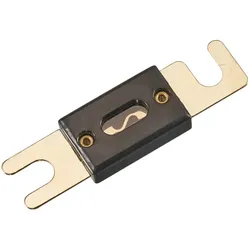 Starkstrom-Sicherung (ANL) 40A