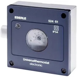 Eberle Controls Allzweckthermostat, Thermostat, Grau