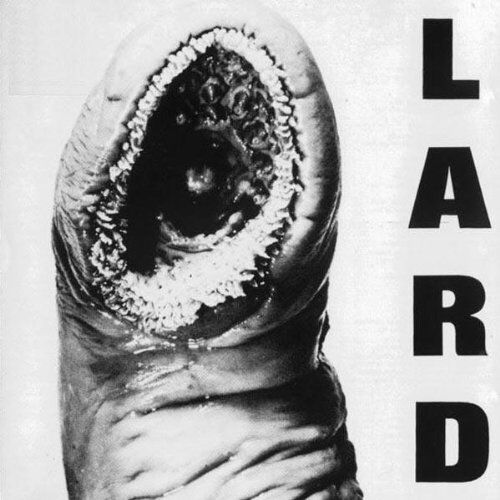 Lard - The Power of Lard - Preis vom 09.10.2026 07:28:09 h